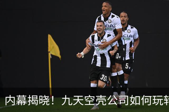 内幕揭晓！九天空壳公司如何玩转巨额农项目骗局